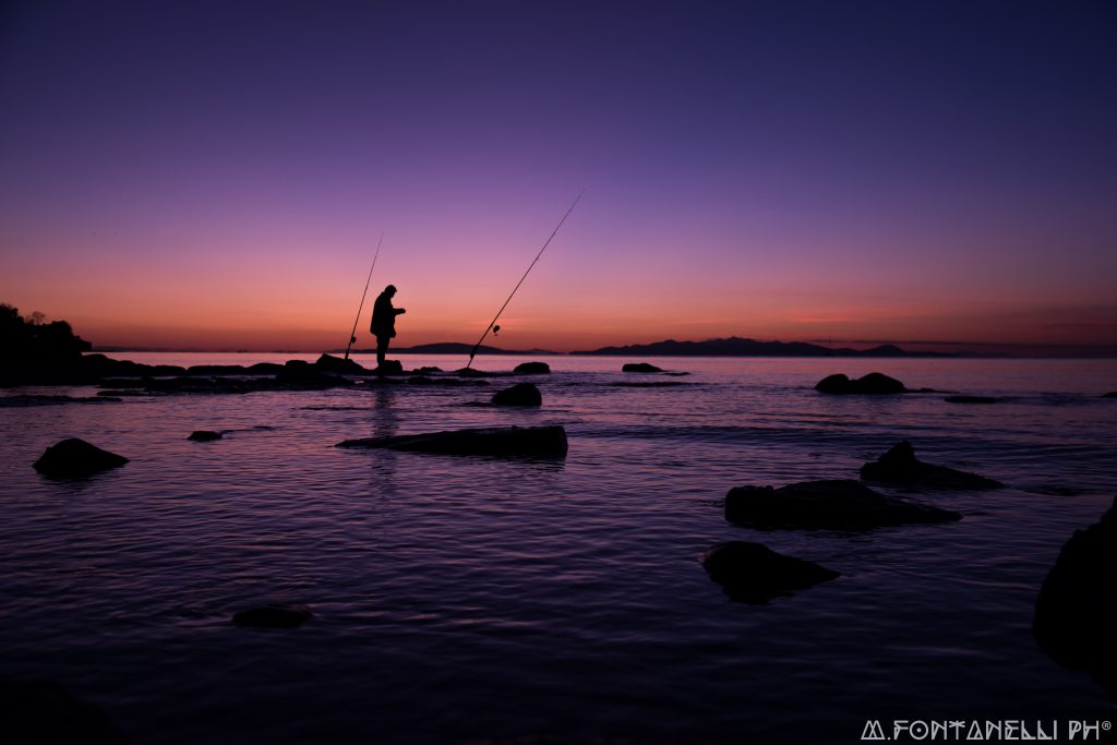 _DSC1878 copia