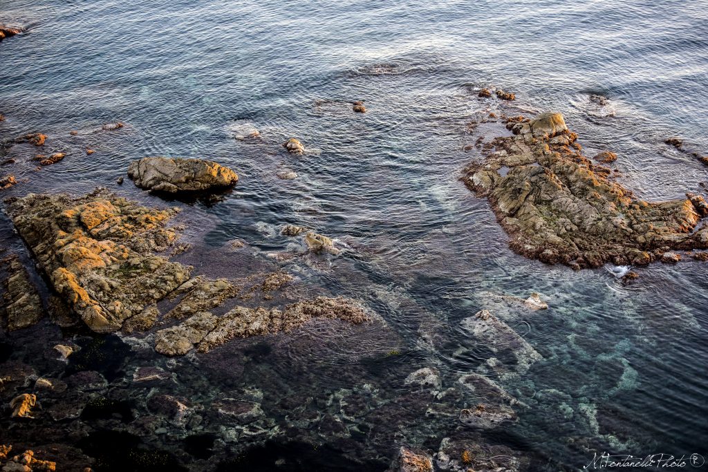 DSC_4037
